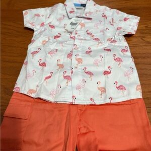 Cat & Jack White and Pink Flamingo Pajama Set